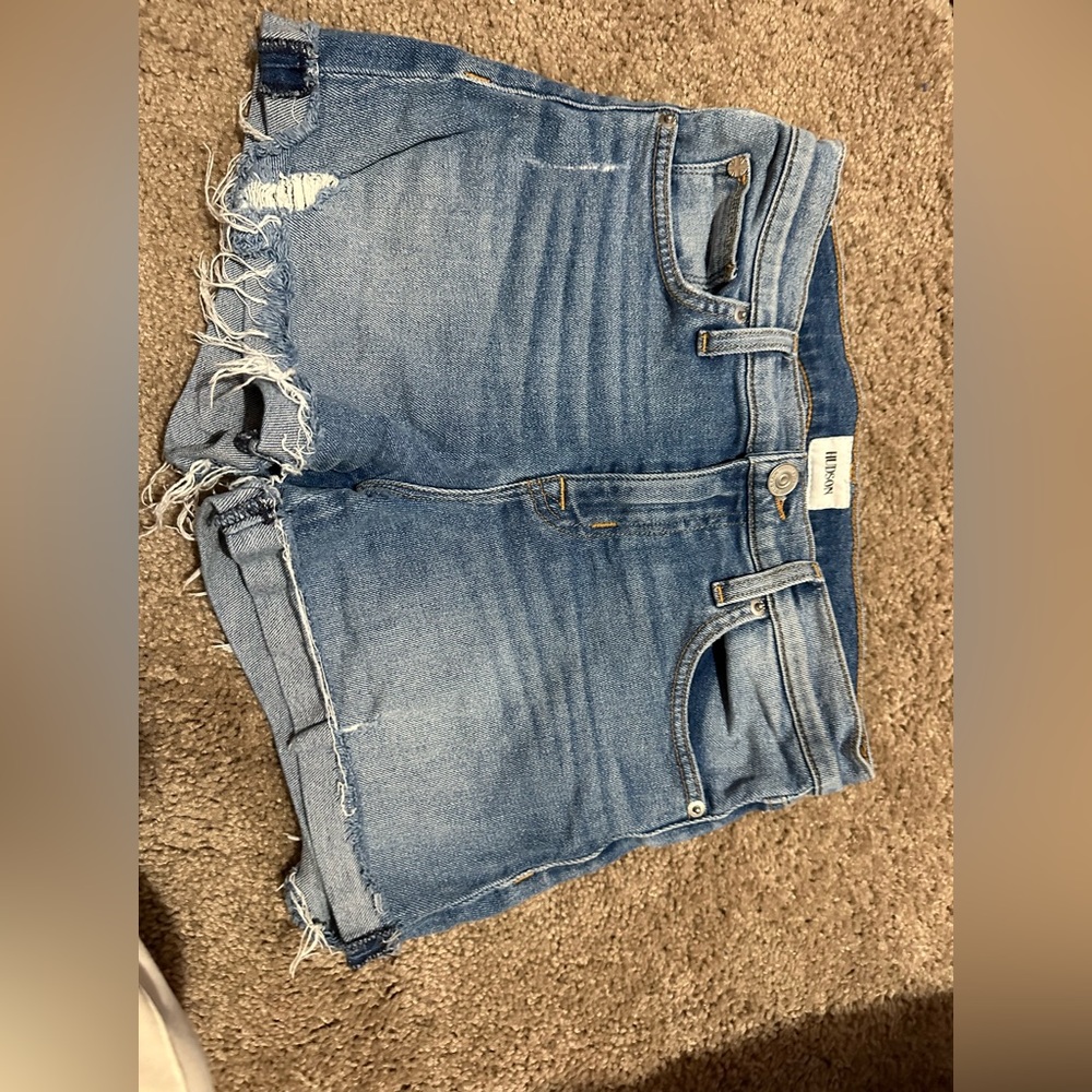 hudson shorts